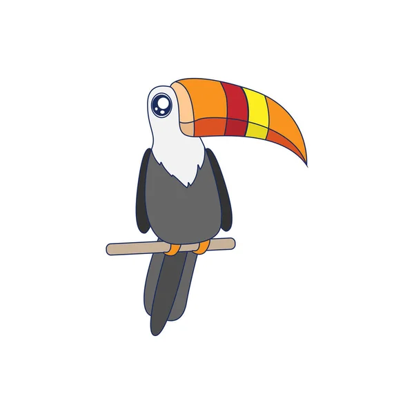Illustration vectorielle isolée toucan oiseau mouche — Image vectorielle