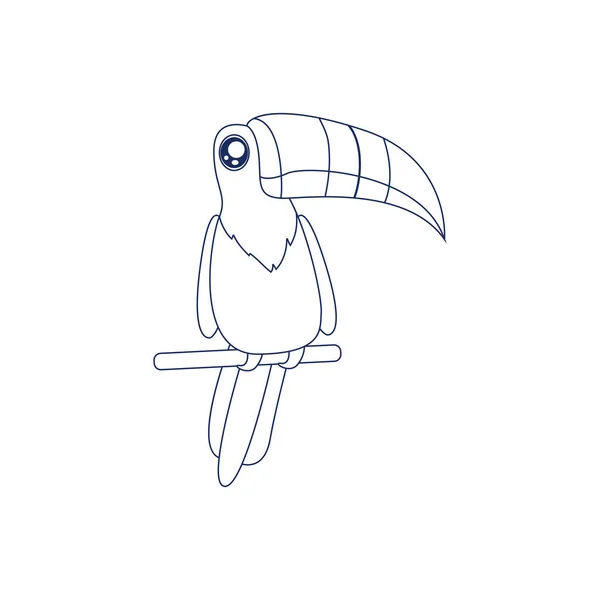 Isolato toucan disegnare uccello animale volare vettore illustrazione — Vettoriale Stock