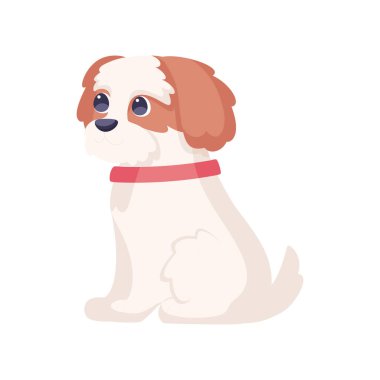 İzole edilmiş şirin şövalye kral Charles spaniel köpek cins çizgi film Vector