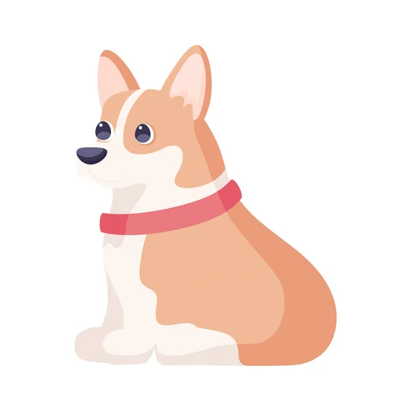 Isolado bonito corgi cão raça desenho animado Vector — Vetor de Stock