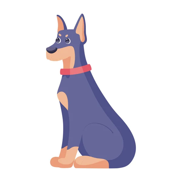 Isolated cute doberman dog breed cartoon Vector — Stock Vector