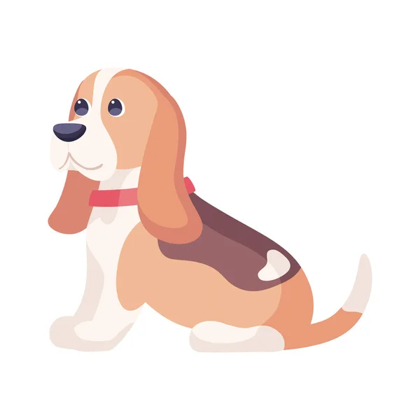 Izolacja cute beagle pies rasy wektor kreskówki — Wektor stockowy