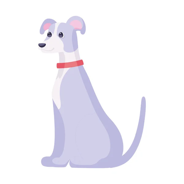 Isolado bonito italiano galgo cão raça desenho animado Vector — Vetor de Stock