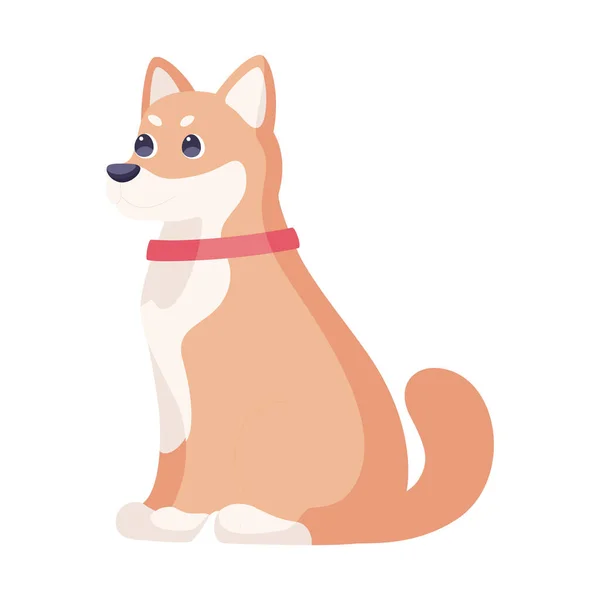 Aislado lindo corgi perro crianza dibujos animados vector — Vector de stock