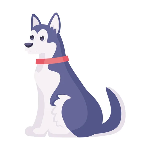 Aislado lindo siberiano husky perro crianza dibujos animados vector — Vector de stock