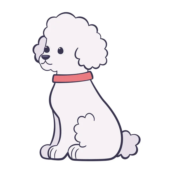 Isolado bonito francês poodle cão raça desenho animado Vector — Vetor de Stock