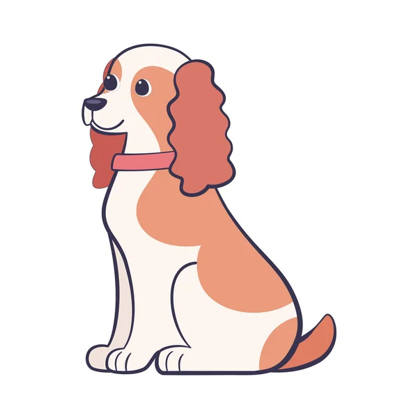 Isolato carino cocker spaniel cane razza cartone animato vettoriale — Vettoriale Stock