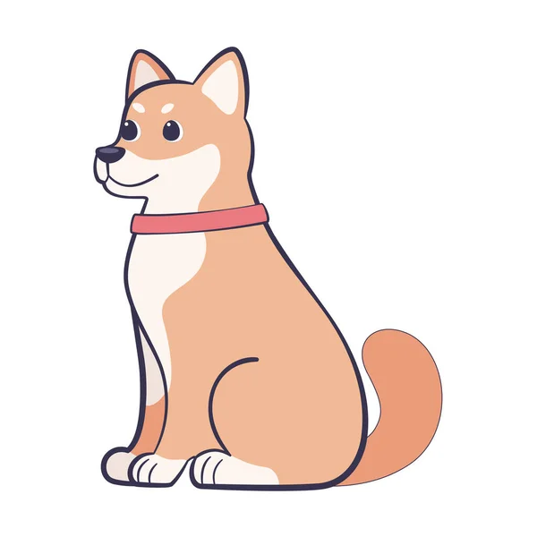 Isolerad söt corgi hund ras tecknad vektor — Stock vektor