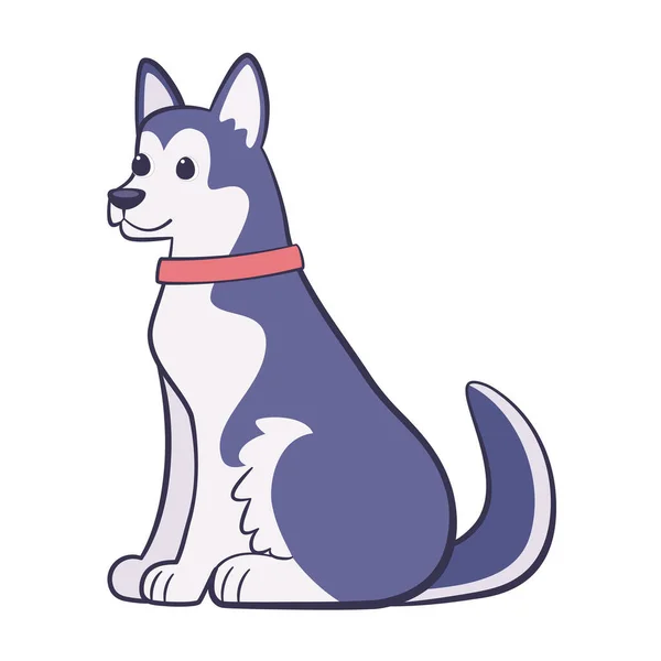 Isolé mignon chien sibérien husky race dessin animé vecteur — Image vectorielle