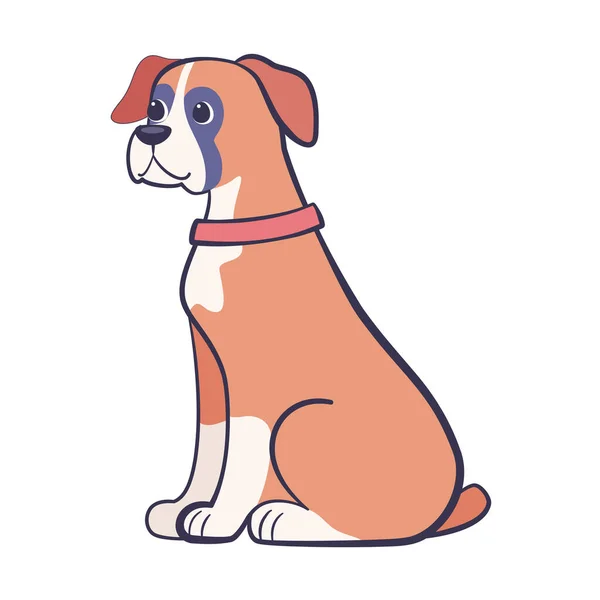 Isolato carino boxer cane razza cartone animato vettore — Vettoriale Stock