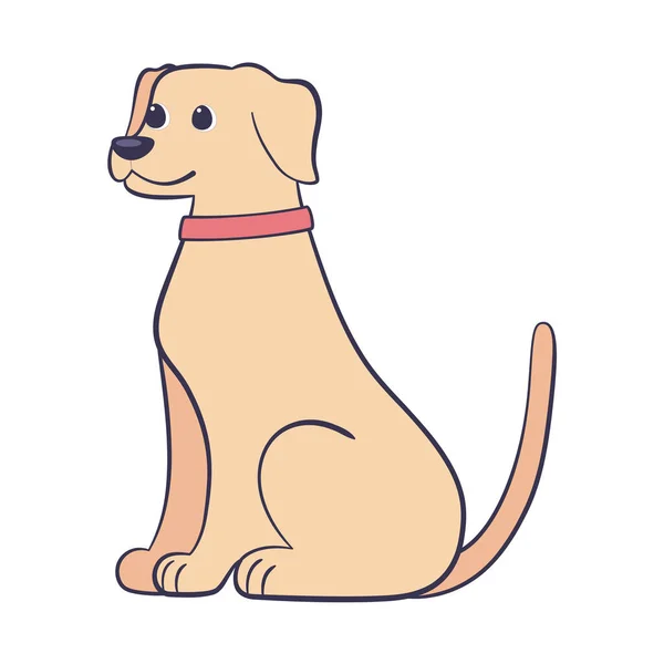 Isolado bonito labrador cão raça desenho animado Vector — Vetor de Stock