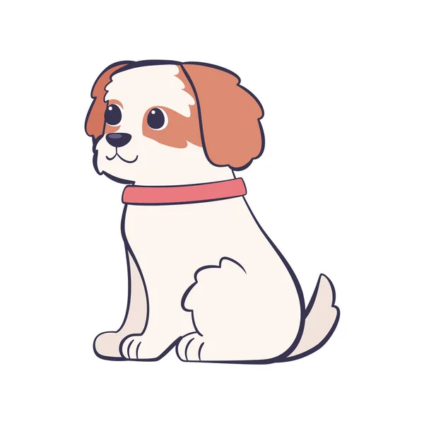 Aislado lindo caballero rey charles spaniel perro crianza dibujos animados vector — Vector de stock