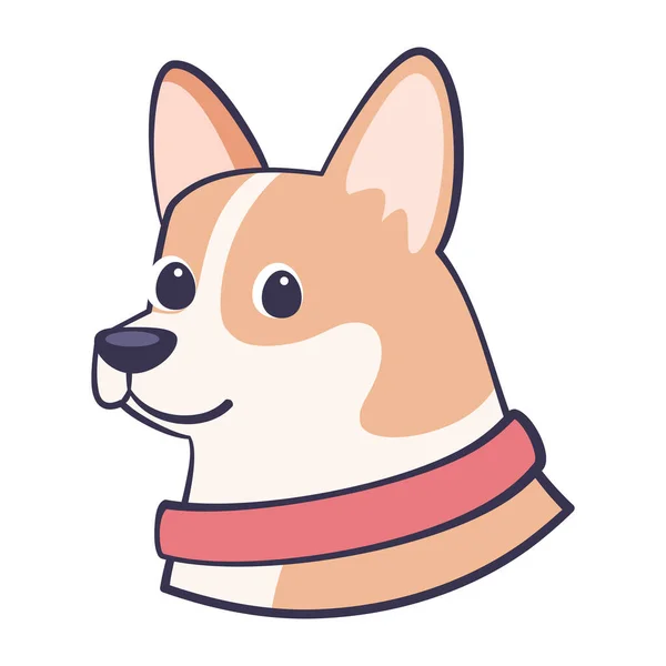 Izolacja cute corgi dog rasy wektor kreskówki — Wektor stockowy