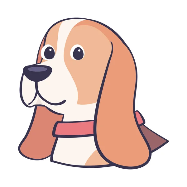 Isolé chien beagle mignon race dessin animé vecteur — Image vectorielle