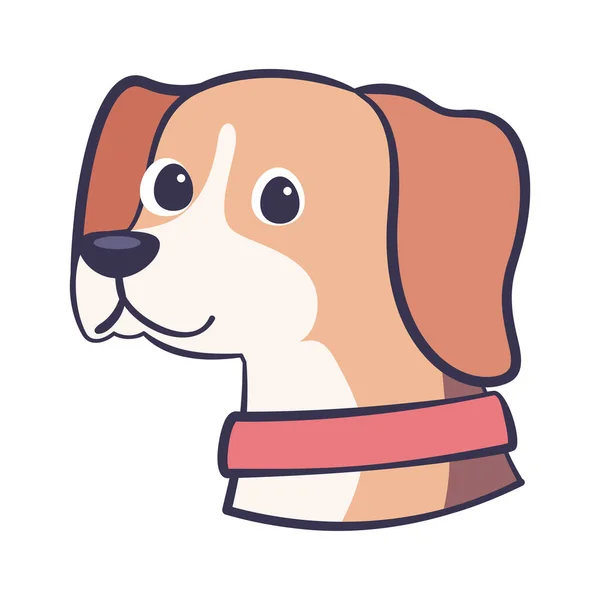 Isolé chien beagle mignon race dessin animé vecteur — Image vectorielle