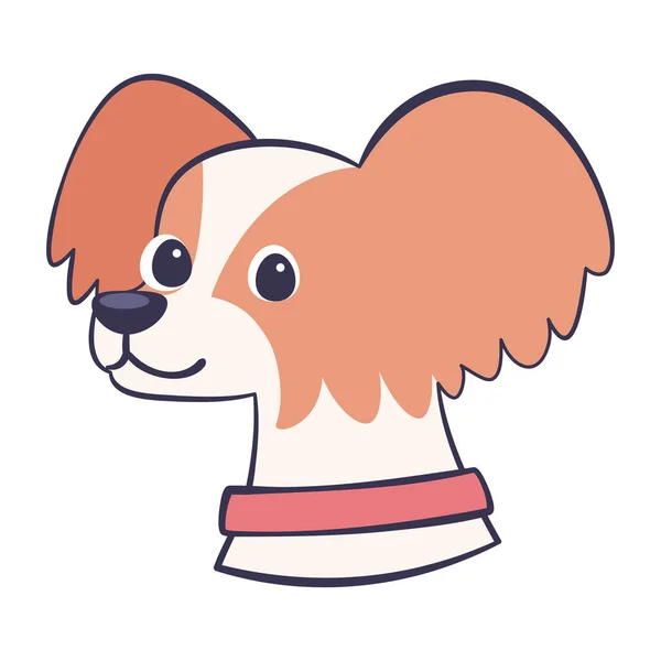 Aislado lindo affenhuahua perro crianza dibujos animados vector — Archivo Imágenes Vectoriales