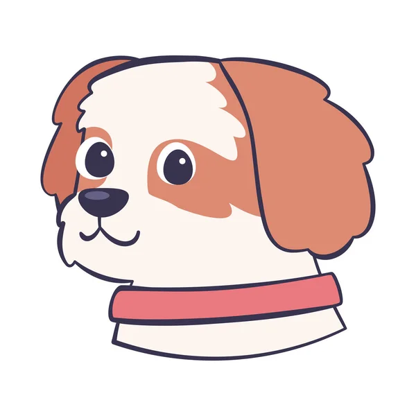 Isolierte niedliche Kavalier König Charles Spaniel Hunderasse Karikatur Vector — Stockvektor