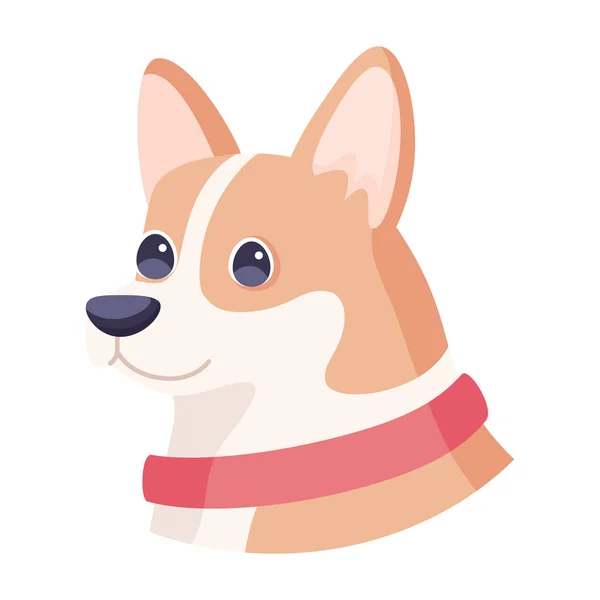 Isolierte niedliche Corgi Hunderasse Cartoon Vector — Stockvektor