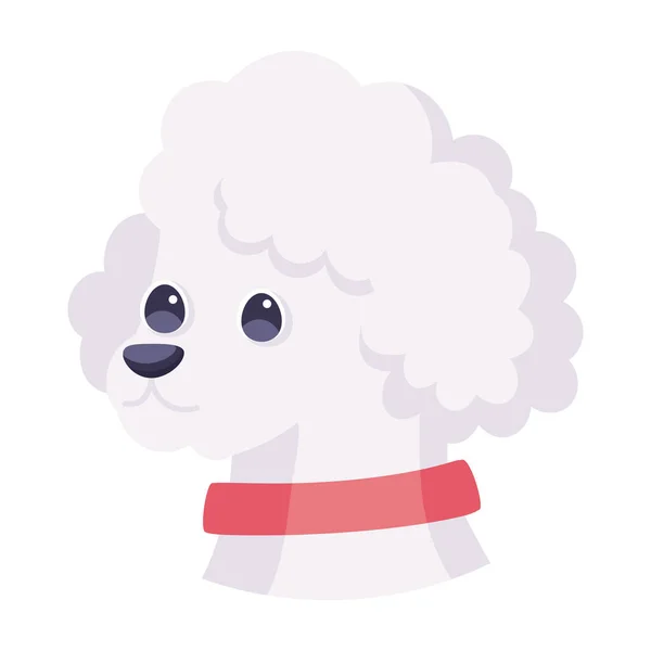 Isolato carino francese barboncino cane razza cartone animato vettore — Vettoriale Stock