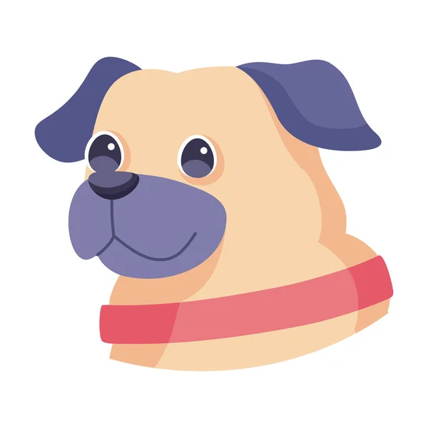 Izolovaný roztomilý pug pes plemeno kreslený vektor — Stockový vektor