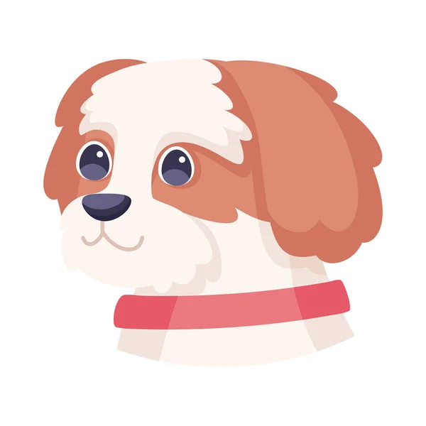 Isolated cute cavalier king charles spaniel dog breed cartoon Vector — Stock Vector