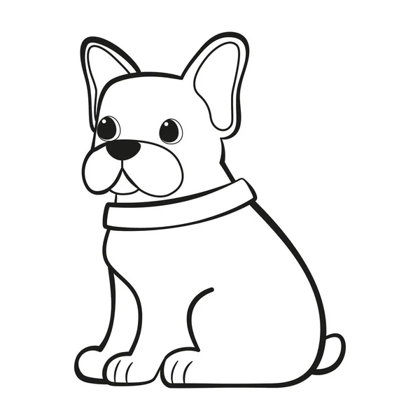 Isolado bonito francês bulldog raça desenho animado Vector — Vetor de Stock