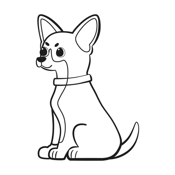 Isolado bonito chihuahua cão raça desenho animado Vector — Vetor de Stock