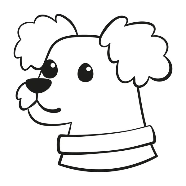 Isolé mignon chien caniche français race dessin animé vecteur — Image vectorielle