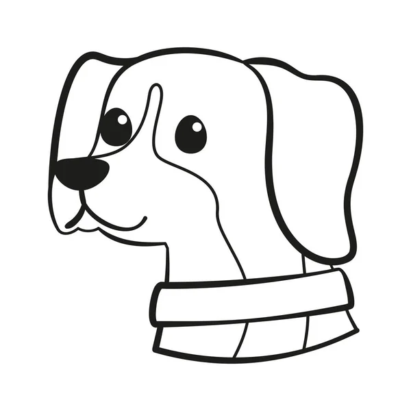 Isolé chien beagle mignon race dessin animé vecteur — Image vectorielle