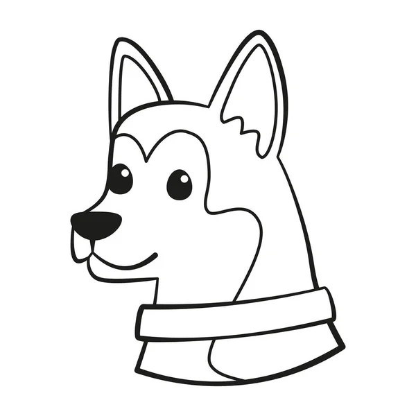 Isolado bonito siberiano husky cão raça cartoon vetor — Vetor de Stock