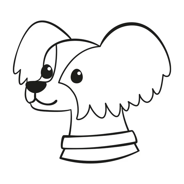 Isolated cute affenhuahua dog breed cartoon Vector — Stock Vector