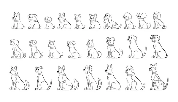 Uppsättning av hund tecknad tecken hund ras vektor — Stock vektor