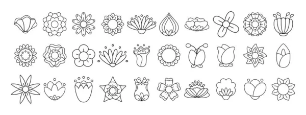 Outline set di fiori carino vettore — Vettoriale Stock