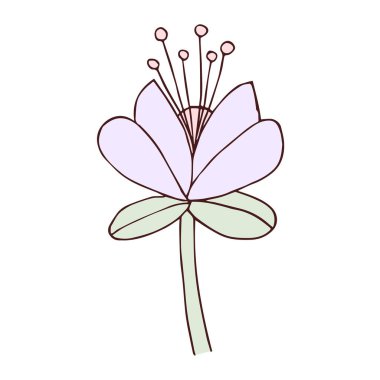 Bahar Zamanı Vektörü 'nün izole edilmiş bir eskizi.