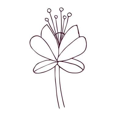 Şirin bir çiçek dizayn vektörünün izole edilmiş ana hatları