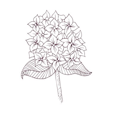 Şirin bir çiçek dizayn vektörünün izole edilmiş ana hatları