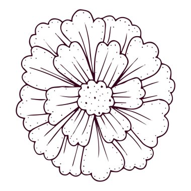 Şirin bir çiçek dizayn vektörünün izole edilmiş ana hatları