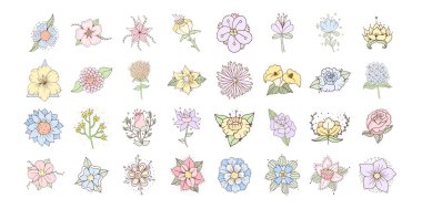 Bahar mevsimi taşıyıcısı çizimleri