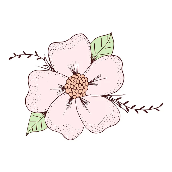 Bosquejo aislado de una flor Primavera Vector — Archivo Imágenes Vectoriales