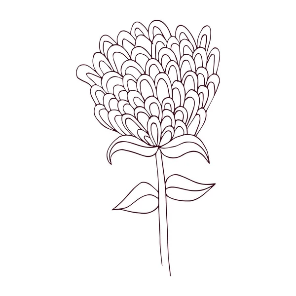 Isolerad kontur av en söt blomma platt design vektor — Stock vektor