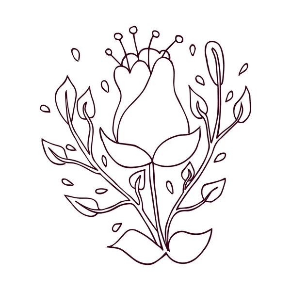 Ізольовані контури милої квітки Плоский дизайн Вектор — стоковий вектор