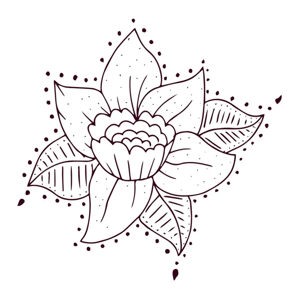 Şirin bir çiçek dizayn vektörünün izole edilmiş ana hatları