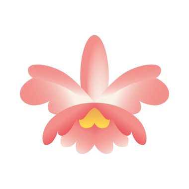 İzole edilmiş orkide ikonu Kolombiya Ulusal Çiçek Vektörü