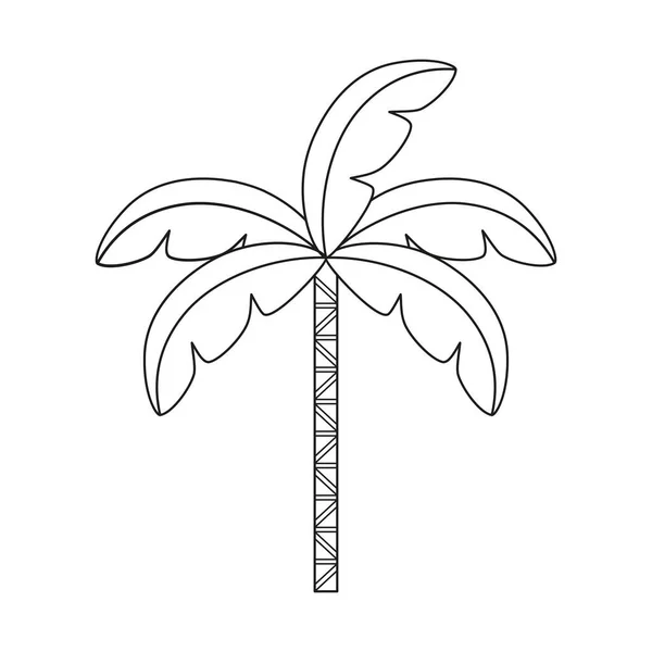 Icono de palma de cera aislada Flora colombiana Vector — Archivo Imágenes Vectoriales