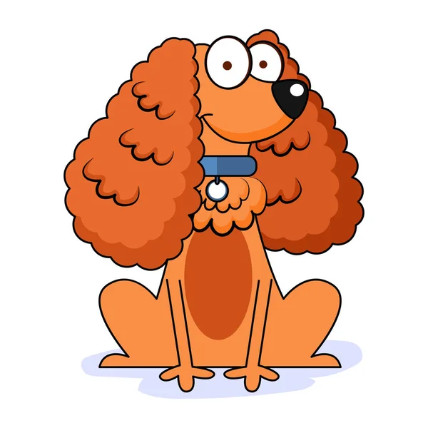 Izolovaný roztomilý kokršpaněl pes plemeno karikatura vektor — Stockový vektor