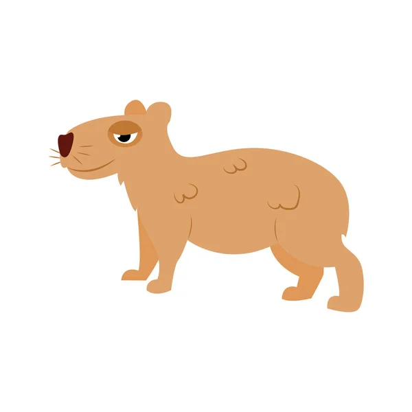 Geïsoleerde capybara cartoon Animal icon Vector — Stockvector