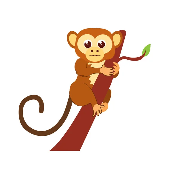 Isolated cute monkey cartoon kawaii Vector — Stock Vector