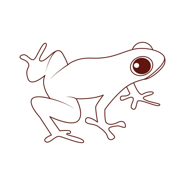 İzole edilmiş kurbağa ikonu amfibi hayvan taşıyıcısı — Stok Vektör