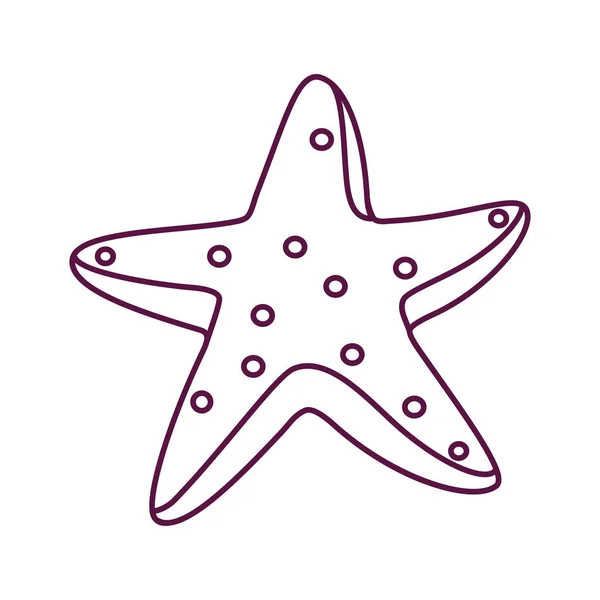 Isolated Star Sea Draw Beach Objects Colors Vector Illustration —  Vetores de Stock