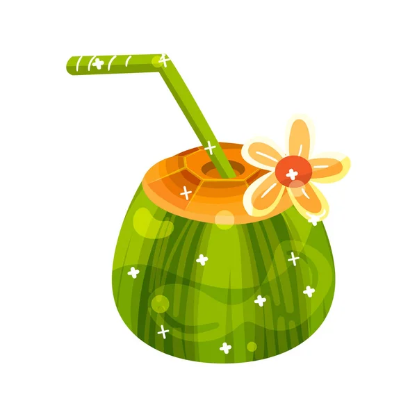 Isolated Coconut Shine Summer Holidays Vector Illustration — Stok Vektör